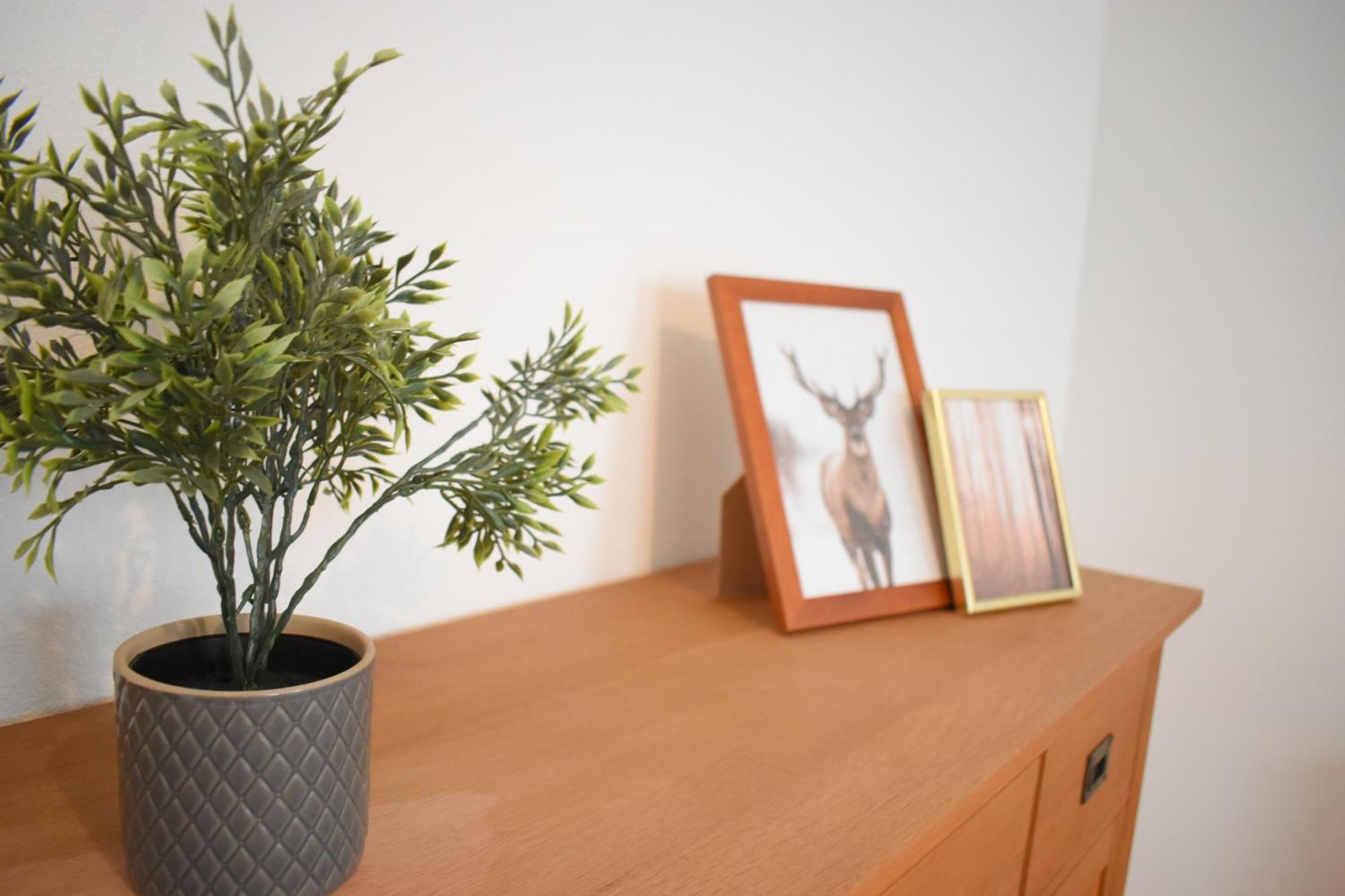 Ob Ferienwohnung Sensbachtal Unter-Sensbach ภายนอก รูปภาพ